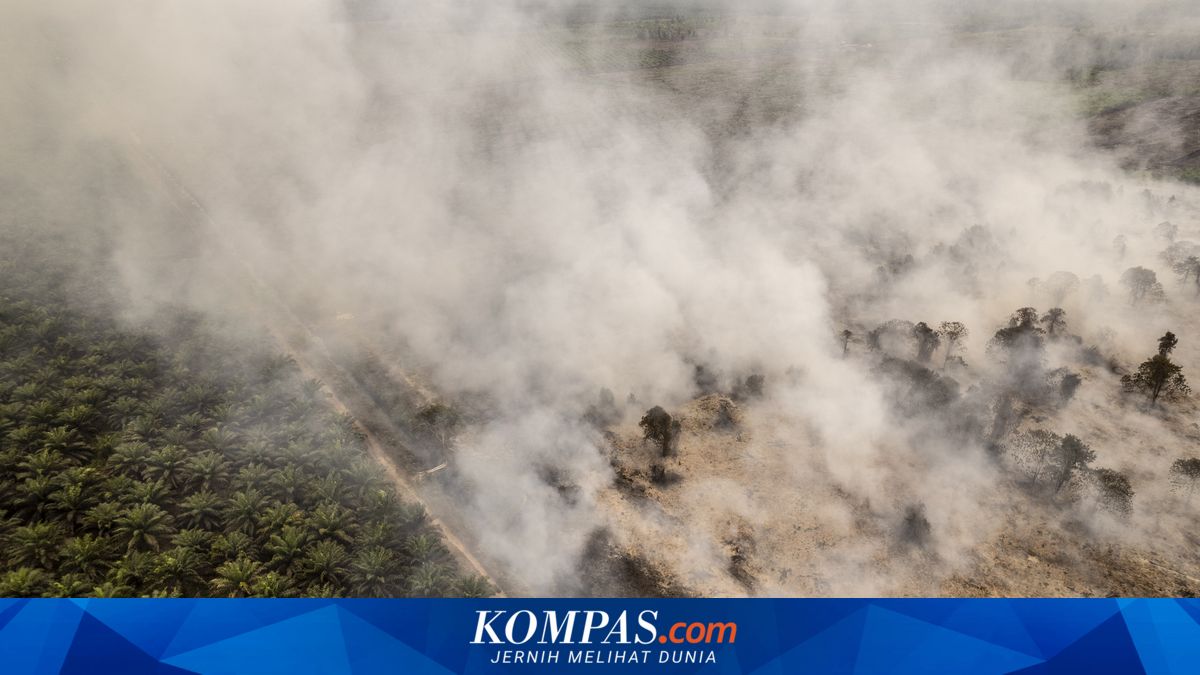 Bahaya Karhutla Setelah Padam, 3 Ancaman Mematikan yang Baru Muncul