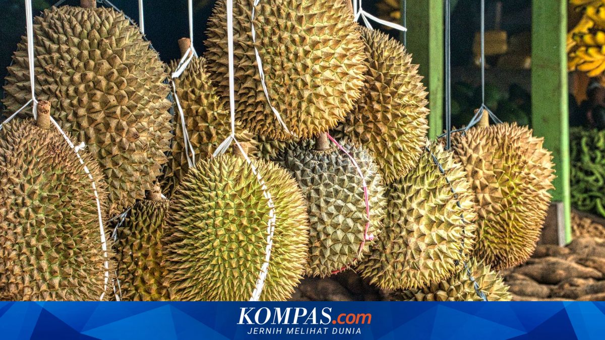 Durian dan Kolesterol: Mitos atau Fakta?