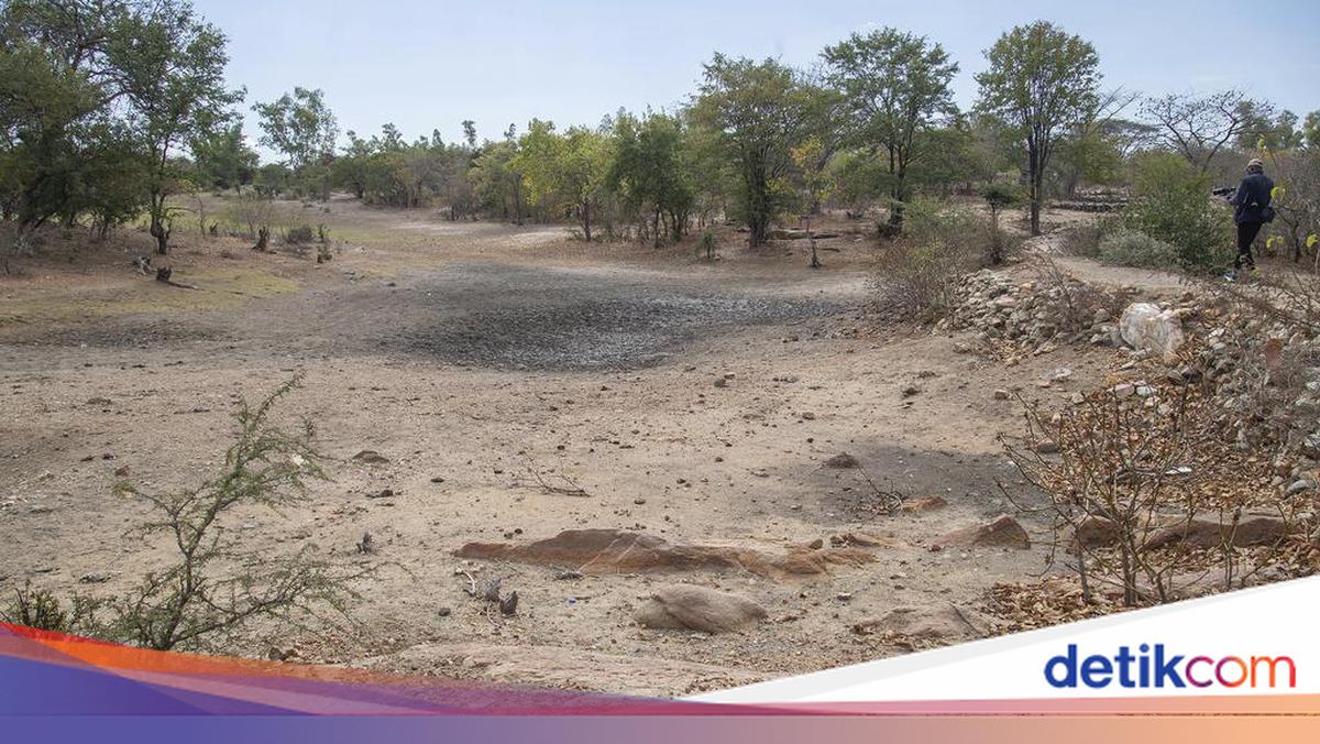 El Nino: Ancaman Cuaca Ekstrem yang Menghantui Dunia