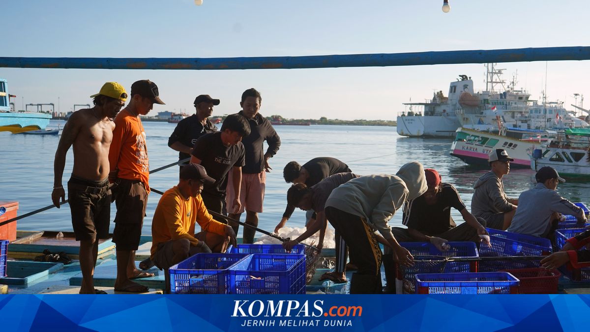 El Nino Membawa Kabar Baik bagi Nelayan Indonesia, Laut Lebih Subur dan Ikan Lebih Mudah Ditangkap