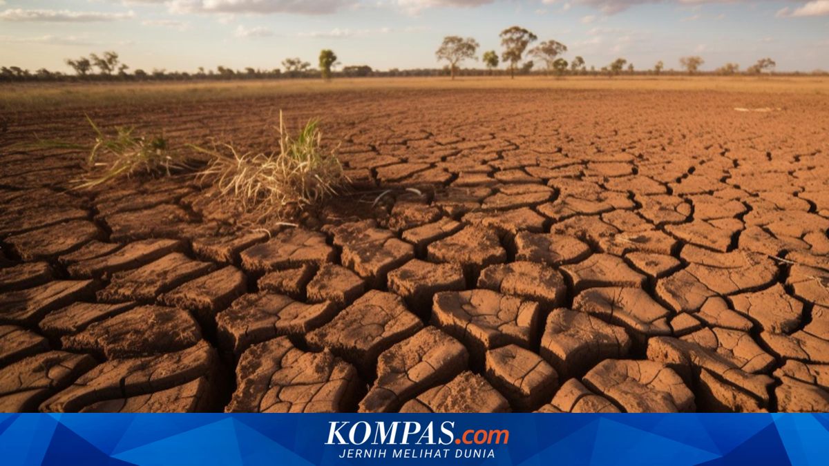 El Nino Menguat, Tahun 2027 Diprediksi Jadi Tahun Terpanas