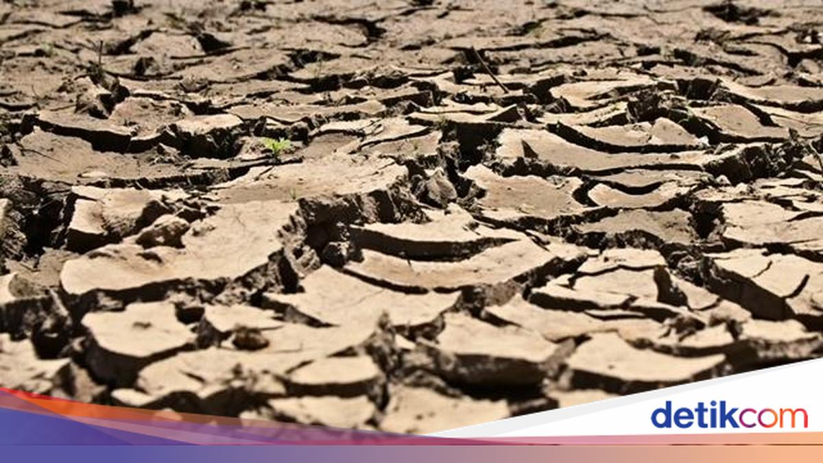 El Nino Terparah Diperkirakan Muncul Akhir Tahun Ini, Laut Mendidih
