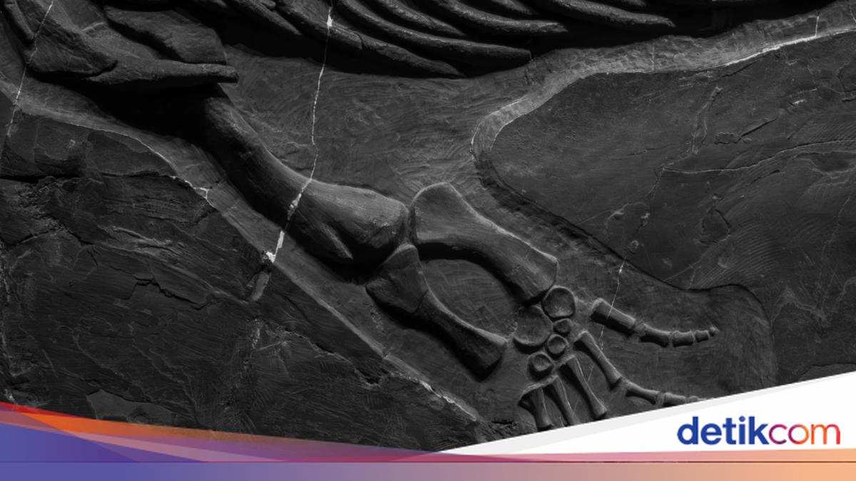 Fosil Dinosaurus 125 Juta Tahun yang Mengandung Sel Kulit Utuh, Mengungkap Rahasia Baru tentang Dinosaurus Mirip Landak
