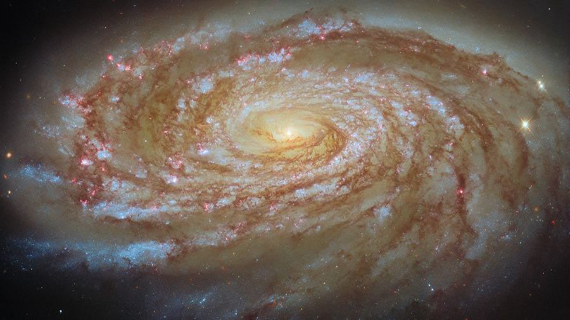 Galaksi Spiral M88 yang Menghipnotis
