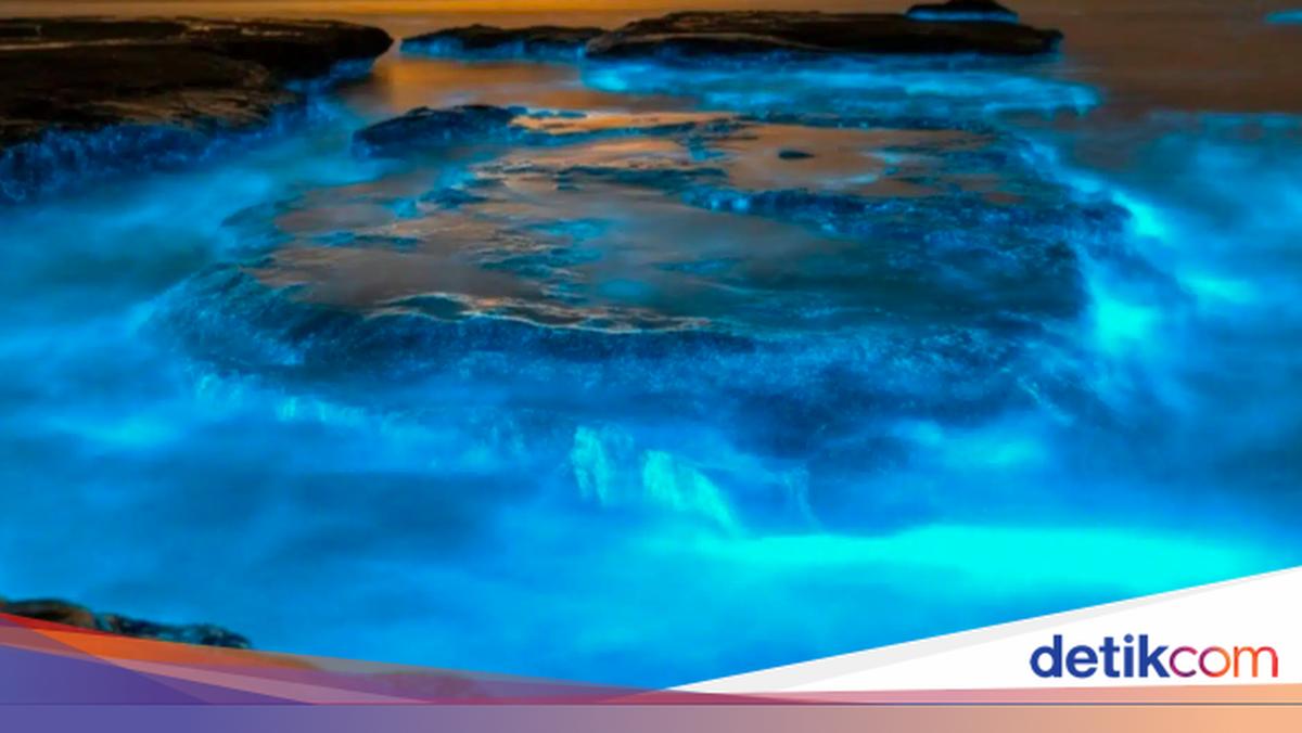 Laut Bercahaya Misterius: Fenomena "Milky Seas" yang Membingungkan Ilmuwan