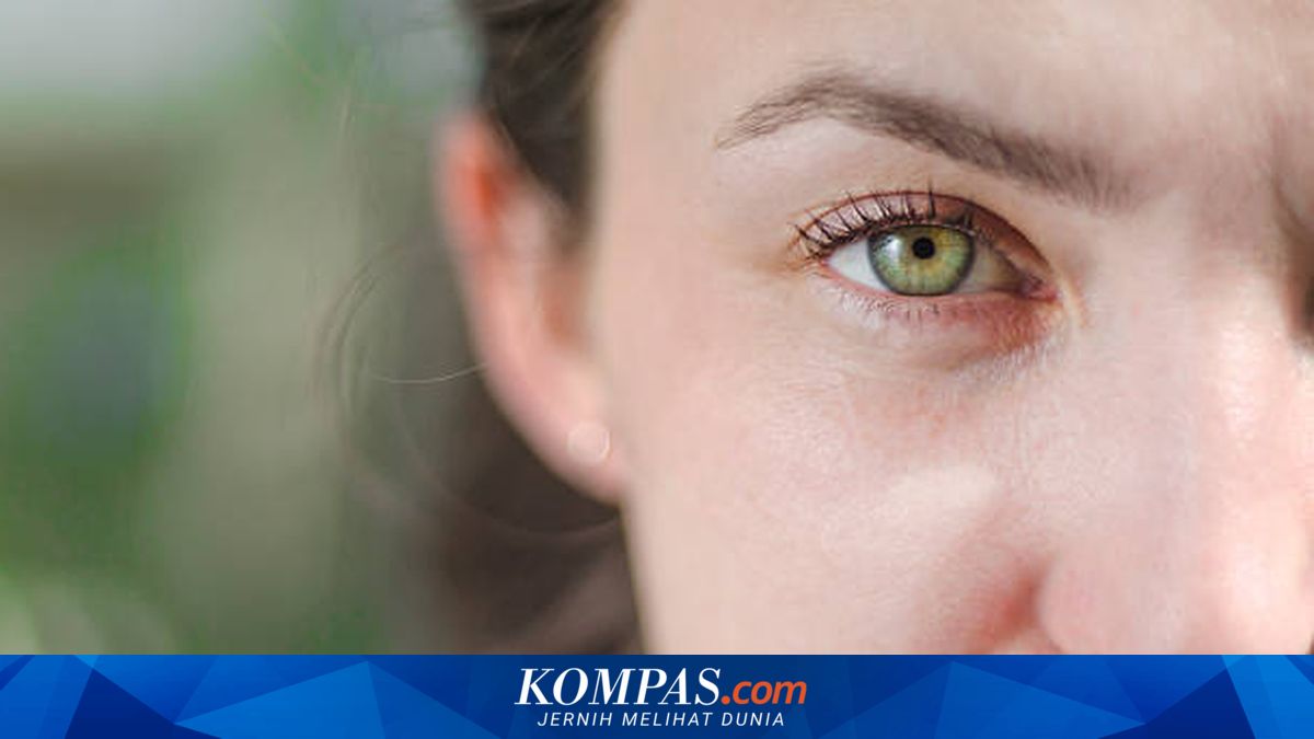 Mengapa Mata Hijau Sangat Langka, Hanya 2 Persen dari Populasi Dunia?