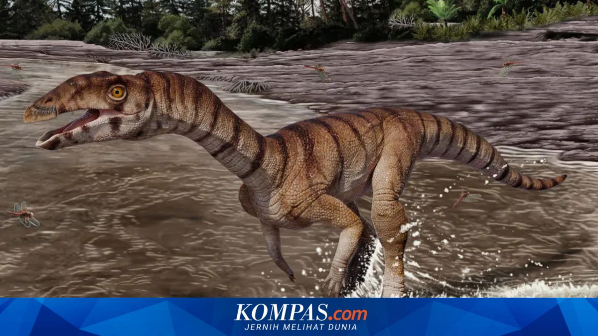 Nenek Moyang Buaya Berusia 212 Juta Tahun Ditemukan, Punya Paruh Tanpa Gigi