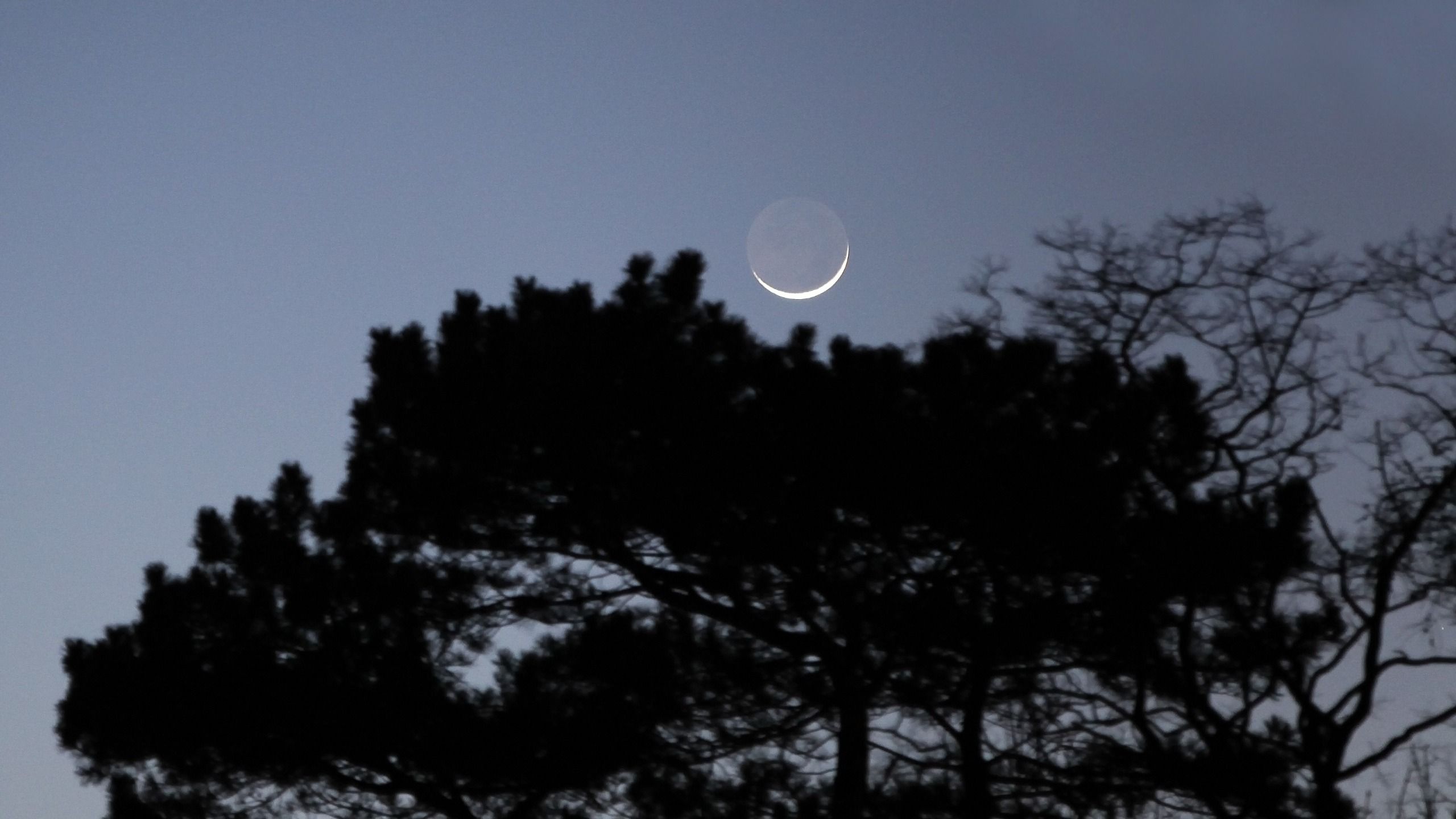 Okultasi Bulan Menyembunyikan Jupiter di Siang Hari 8 September – Cara Menyaksikannya