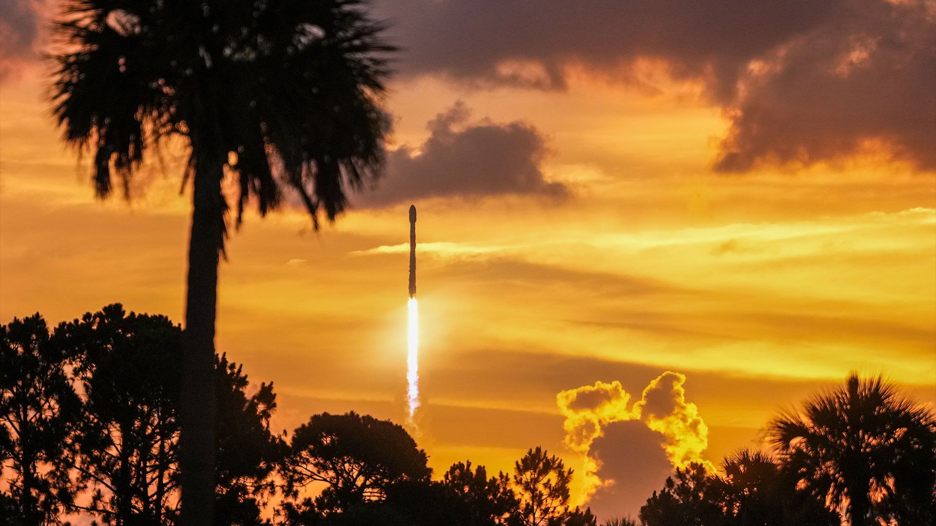 SpaceX Meluncurkan Misi Starlink Beruntun dari Dua Pantai