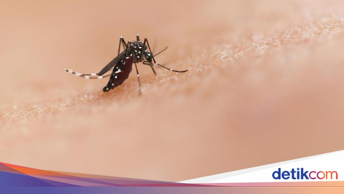 Teknologi Pembasmi Nyamuk Berbasis Laser, Inovasi yang Mengesankan